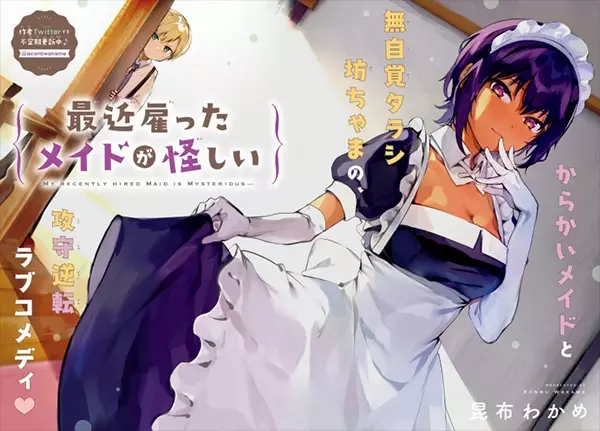 The maid is mysterious - illustration 1