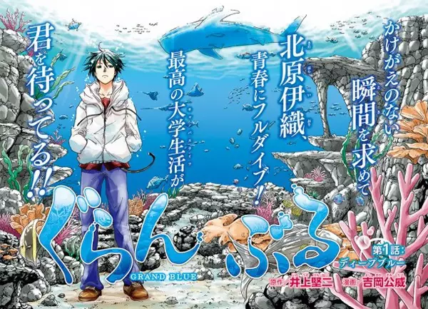 Grand Blue - illustration 1